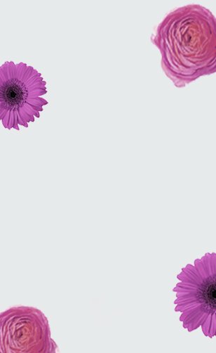 Blue Delicato Lungo Capsules
